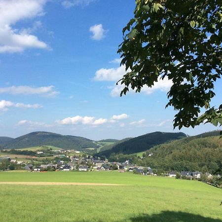 Ferienwohnung Haus Friederike Ab 6 Uebernachtungen, Inclusive Meine Card Plus Willingen  Exteriér fotografie