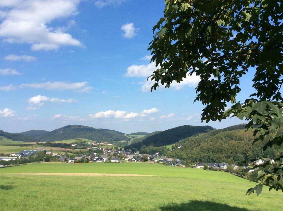 Ferienwohnung Haus Friederike Ab 6 Uebernachtungen, Inclusive Meine Card Plus Willingen  Exteriér fotografie