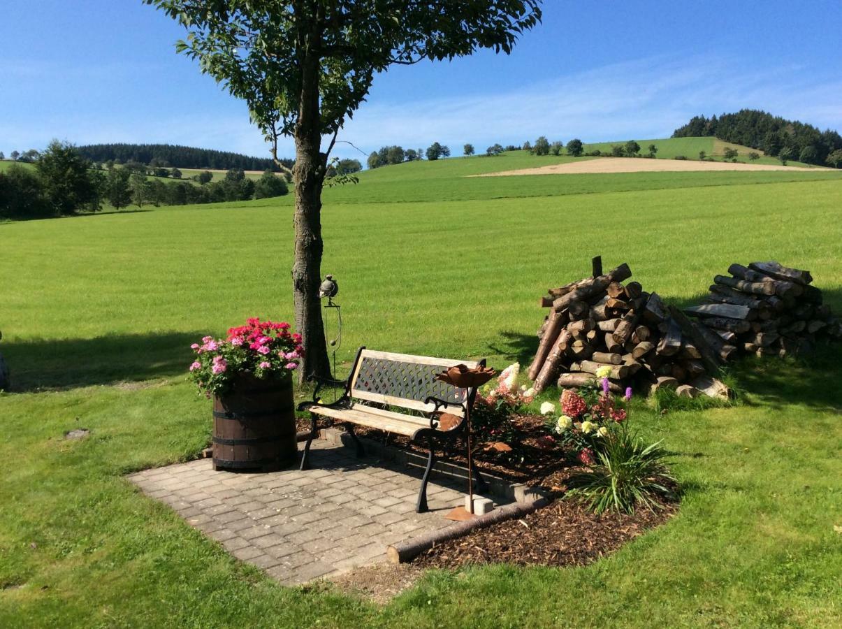 Ferienwohnung Haus Friederike Ab 6 Uebernachtungen, Inclusive Meine Card Plus Willingen  Exteriér fotografie