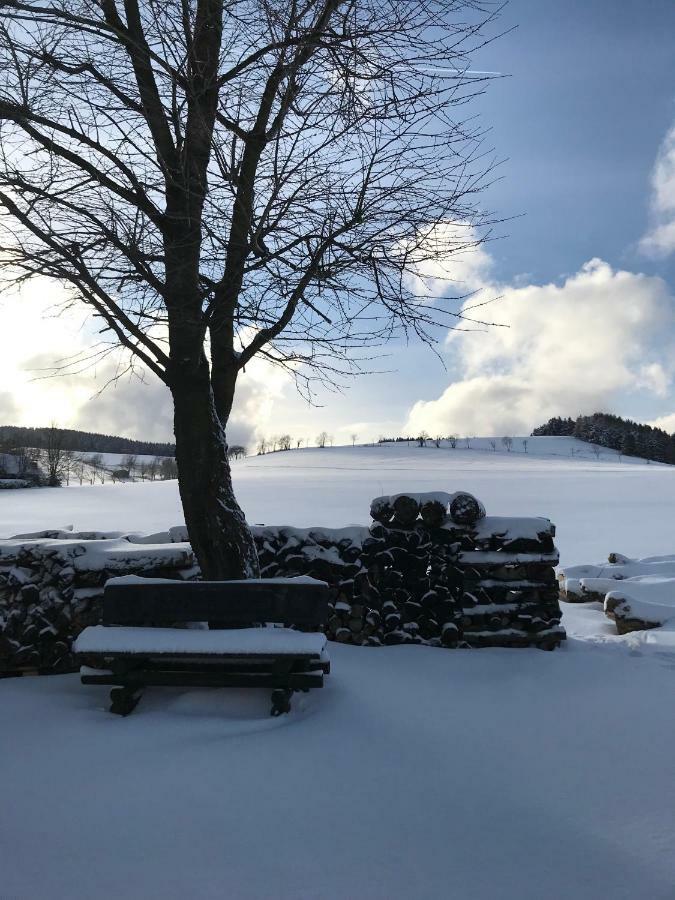 Ferienwohnung Haus Friederike Ab 6 Uebernachtungen, Inclusive Meine Card Plus Willingen  Exteriér fotografie